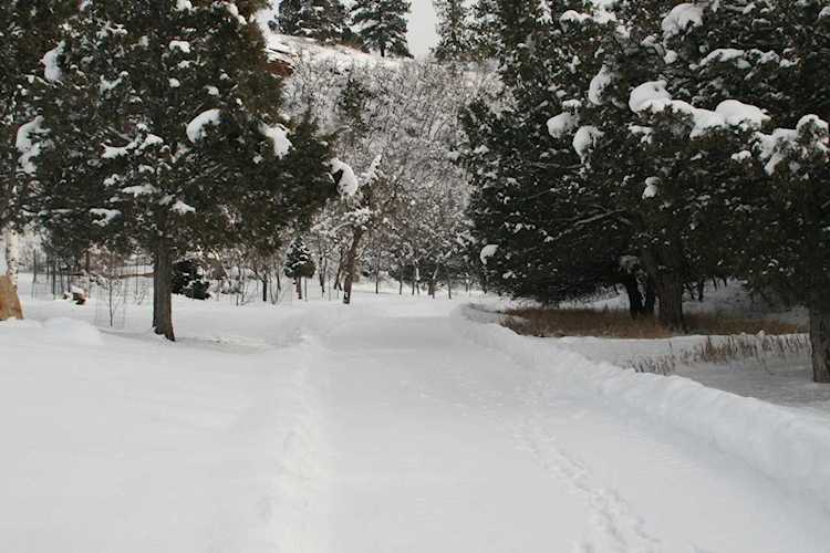 221 Red Stone Rd Ridgway, COLORADO 81432