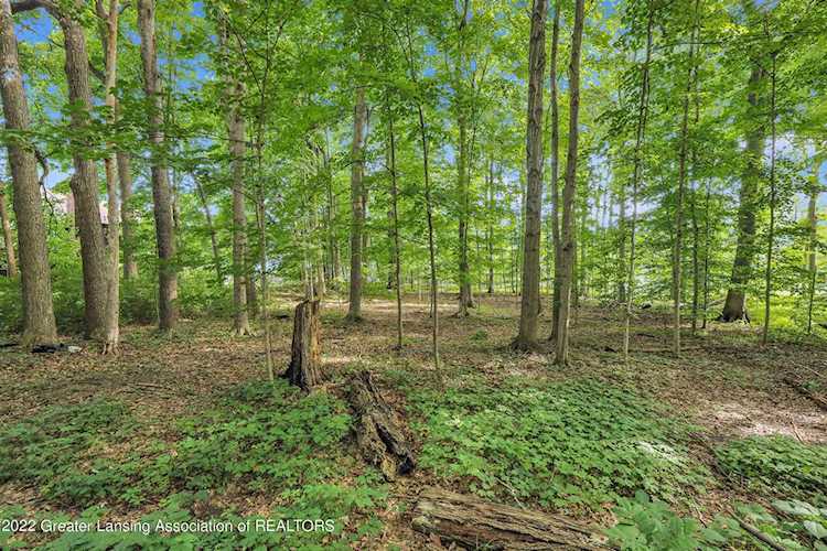 0 Sandhill Rd Lansing, MI 48911 | MLS 267402 Photo 1
