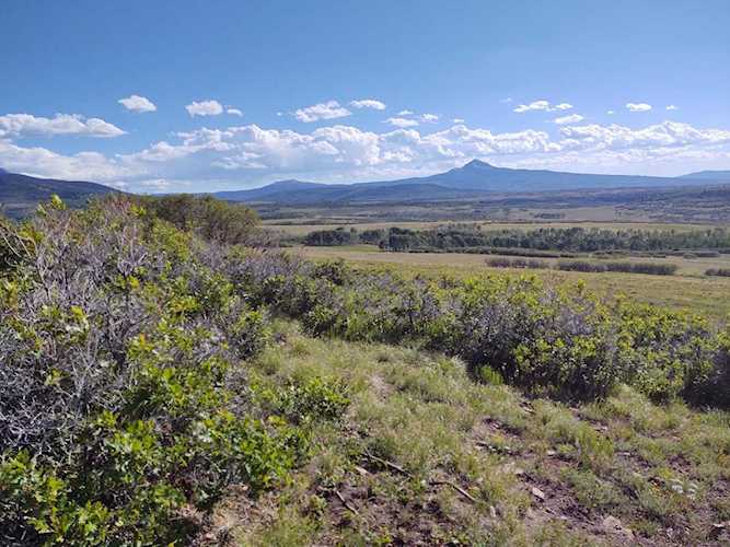 TBD Laughing Dog Rd #11-1 Placerville, COLORADO 81430