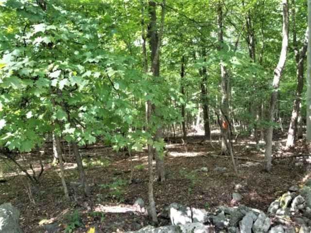 Meadow Road New Paltz, NY 12561