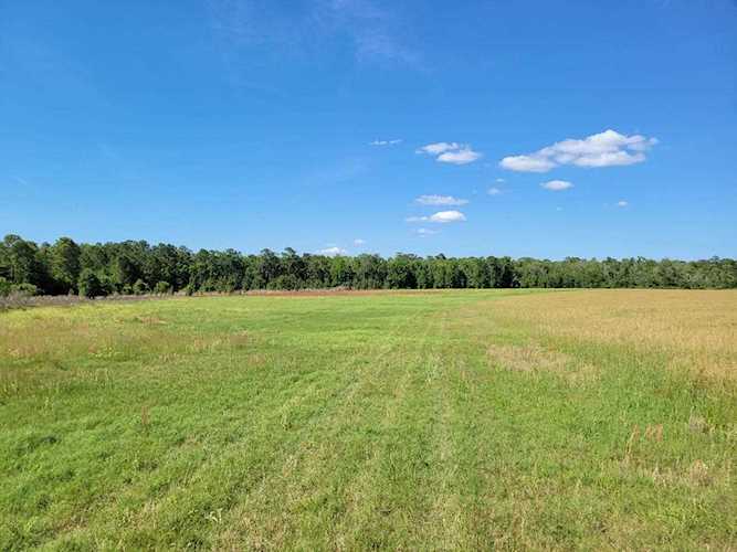 Highlands @ OC #5 (15ac) E Hwy 318 Fort Mc Coy, FL 32134