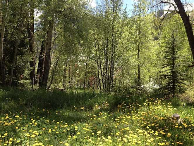 475 W Galena Ave #19R Telluride, COLORADO 81435