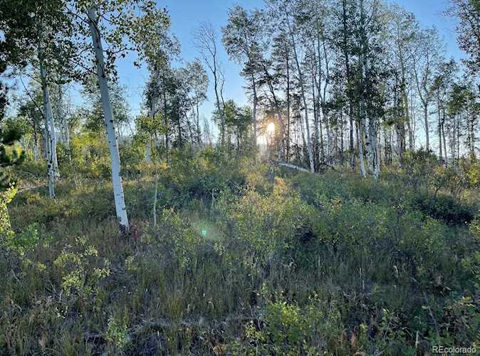 02 Cody Trl Oak Creek, CO 80467 | MLS 6096706 Photo 1