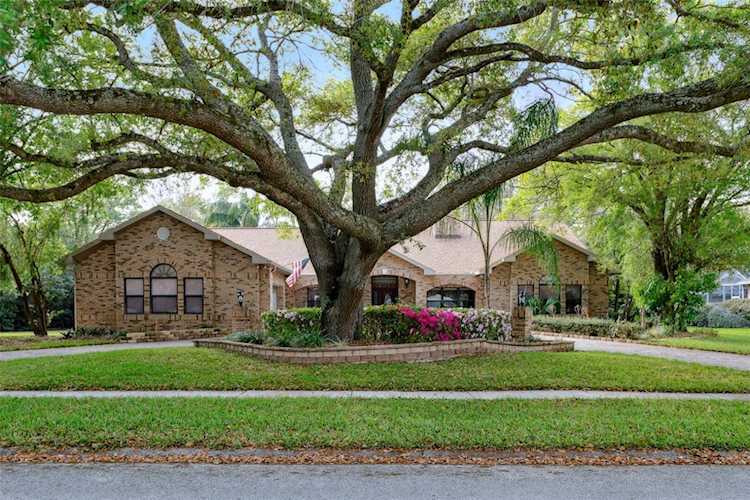 1704 Curry Rd Lutz, FL 33549
