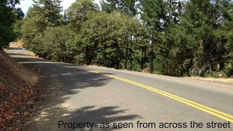 238 Juanita Way Jacksonville, OR 97530