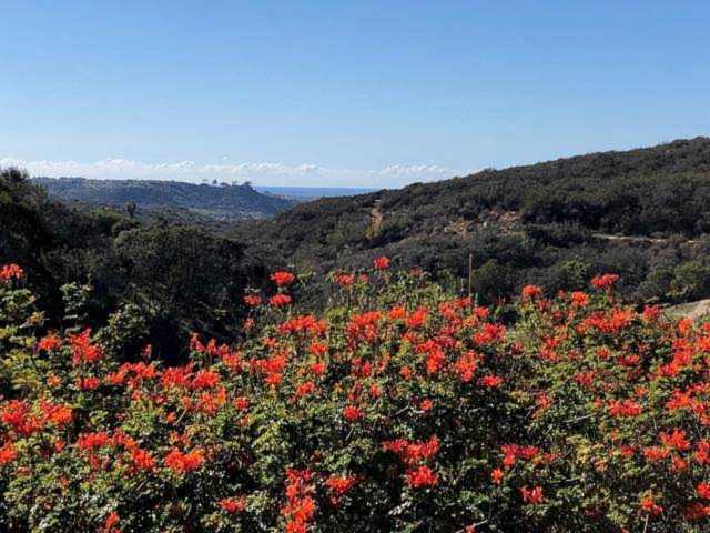 4663 Cyrus Way Oceanside, CA 92056