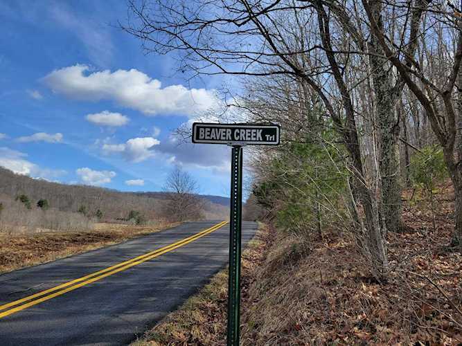 Lot 5 Beaver Creek Trl Crawley, WV 25984
