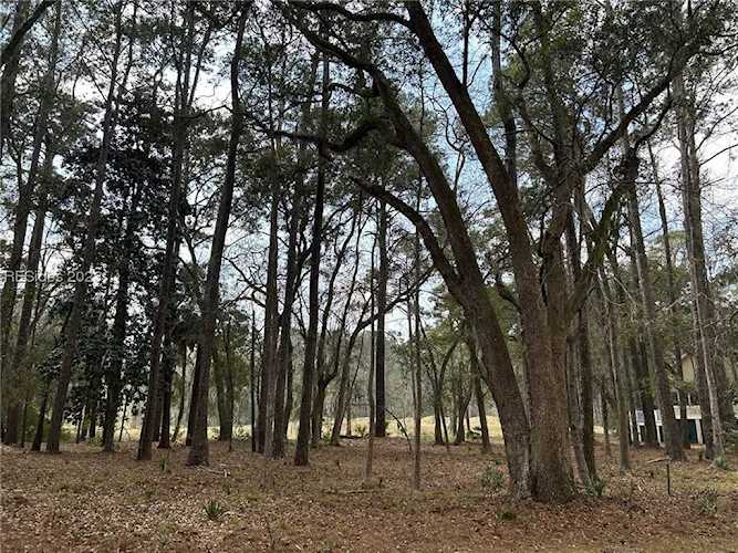 10 Money Mongin Ln Daufuskie Island, SC 29915