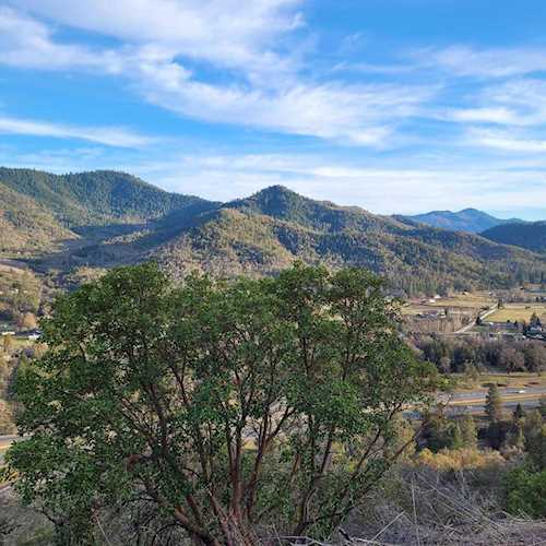 3062 N River Rd Gold Hill, OR 97525