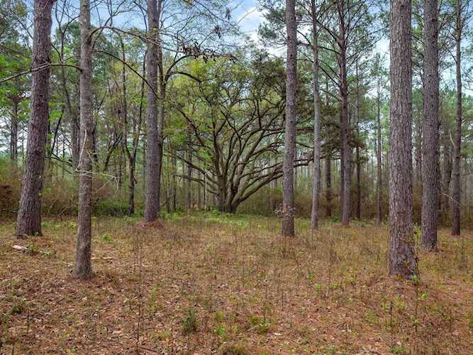 5524 Dansby Place Tallahassee, FL 32311 in Dansby Estates Photo 1
