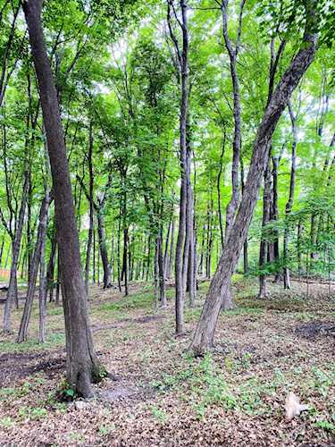 254 Bushaway Road Wayzata, MN 55391