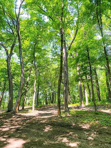 252 Bushaway Road Wayzata, MN 55391