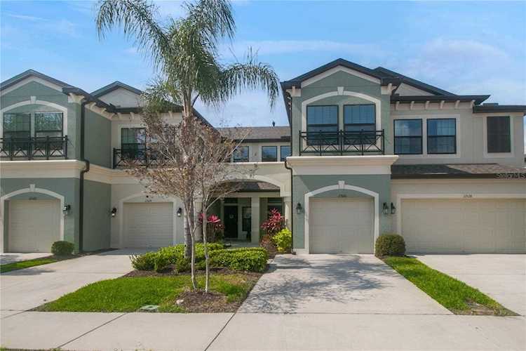 11526 Crowned Sparrow Ln Tampa, FL 33626