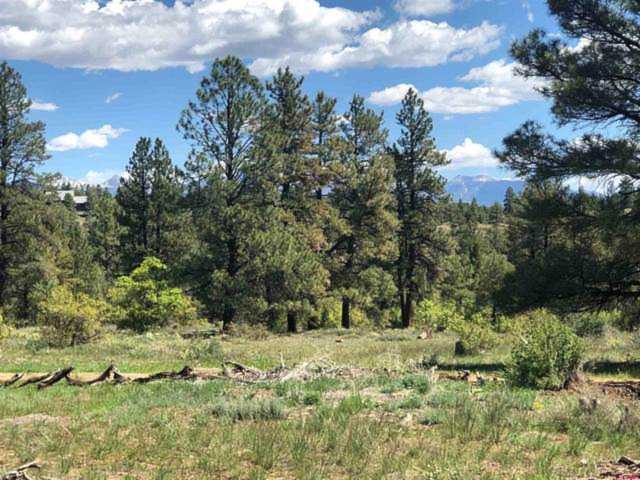26 Lynx Court Pagosa Springs, CO 81147 | MLS 800790 Photo 1