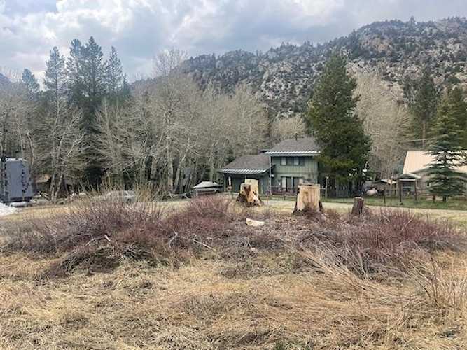 778 Steelhead June Lake, CA 93529