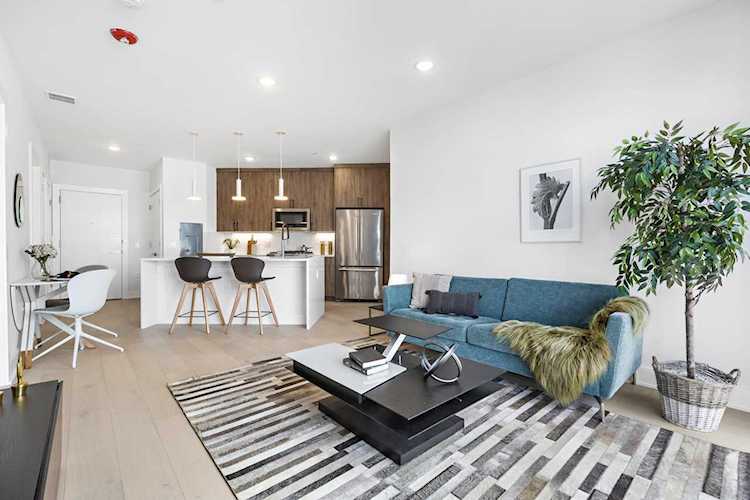 338 Newark Ave #306 Jersey City, NJ 07302