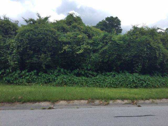 Lot 15 Wardola Drive Jacksonville, NC 28546