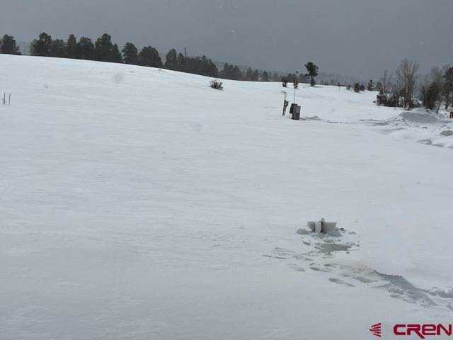 40 Port Drive Pagosa Springs, CO 81147