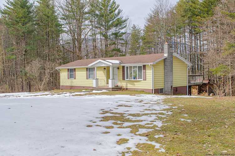 23 Brunel Dr Boiceville, NY 12412