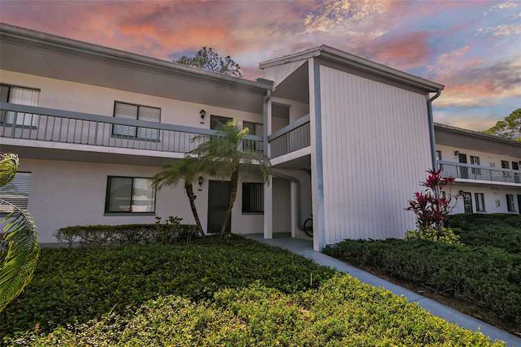 209 Martha Ln #209 Oldsmar, FL 34677
