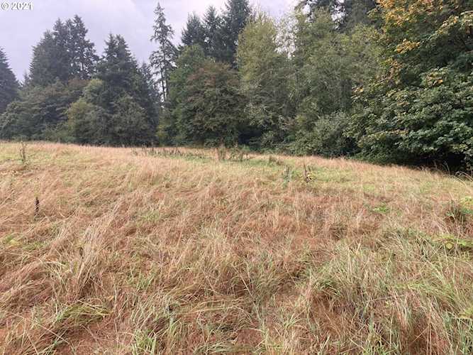 000 NW 166th ST Ridgefield, WA 98642