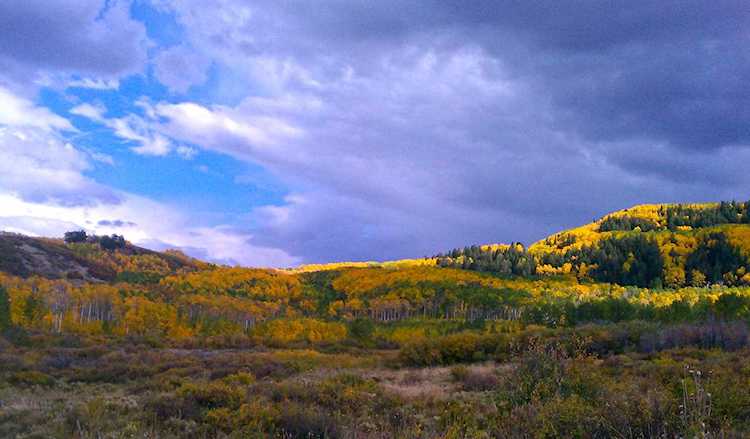 TBD Tract2 Buckhorn Rd Montrose, COLORADO 81403