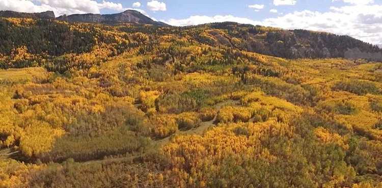 TBD Tract9 Buckhorn Montrose, COLORADO 81403