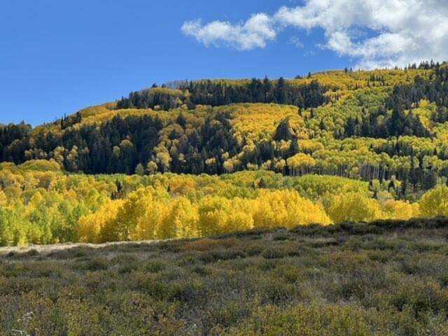 TBD Trct10 Buckhorn Montrose, COLORADO 81403