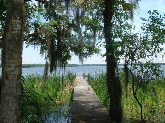 29551 NE 149th Street Rd Salt Springs, FL 32134