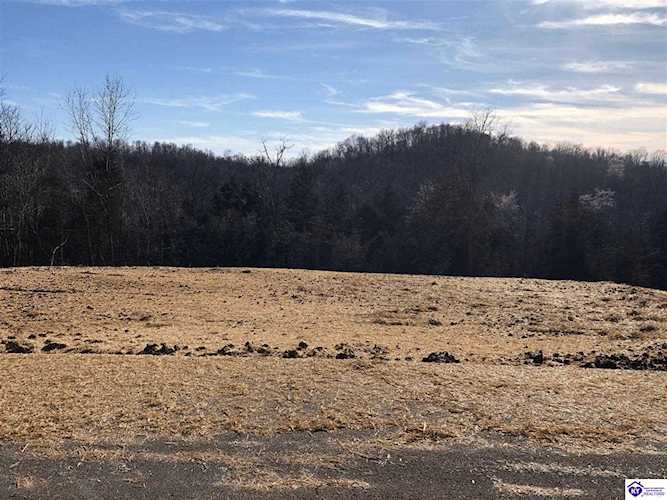 1209 Horn Road Cecilia, KY 42724