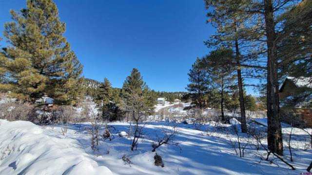 53 Glenwood Court Pagosa Springs, CO 81147 | MLS 800487 Photo 1