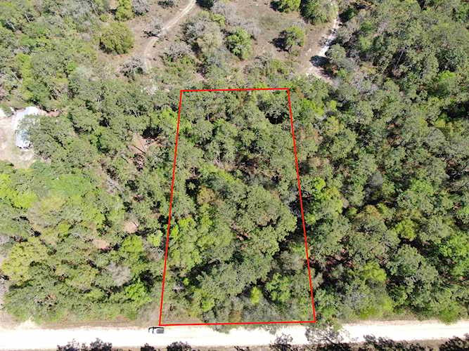Vacant NE Timber River Loop Lee, FL 32059