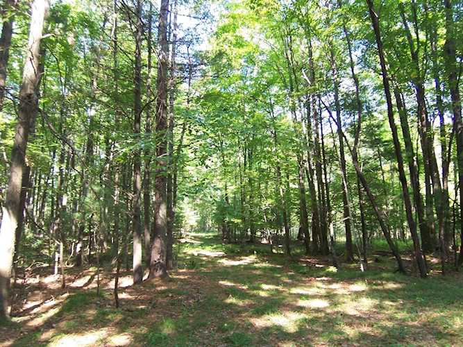 Timber Trl Suamico, Village of Suamico, WI 54713