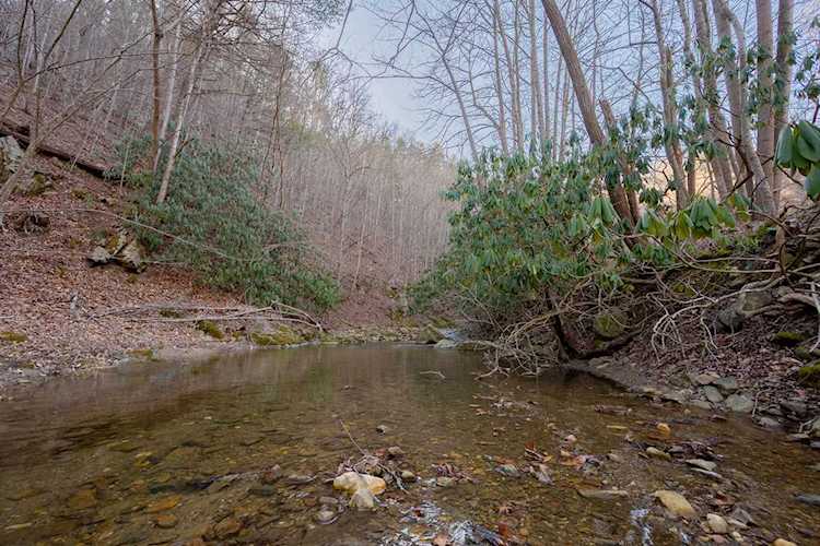 0 NE Shawsville Pike Check, VA 24072