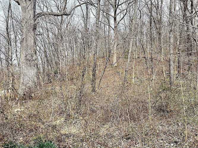 17564 Campbell Road Nelsonville, OH 45764