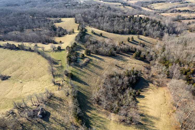 1240 Leaning Oak Rd Corinth, KY 41010