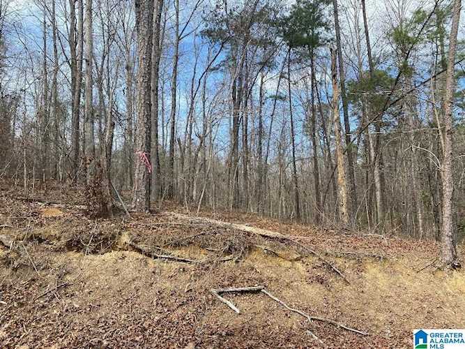 Raccoon Branch Road #12 Jasper, AL 35504