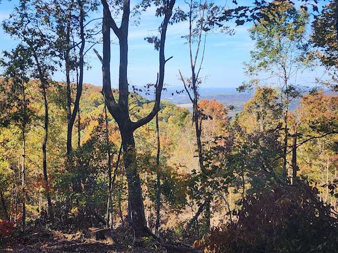 27 Higgenbotham Turnpike Altamont, TN 37301