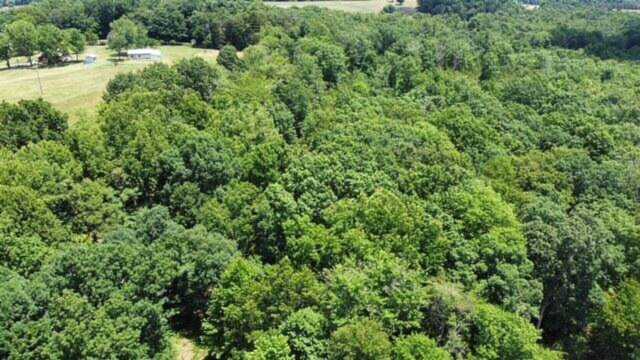 0 Angle Plantation Rocky Mount, VA 24151