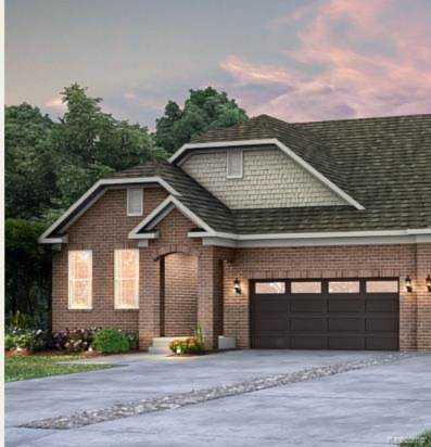 21143 Lily Clinton Township, MI 48036