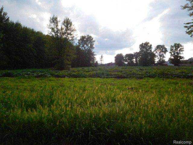 51910 S Foster Rd Chesterfield, MI 48047