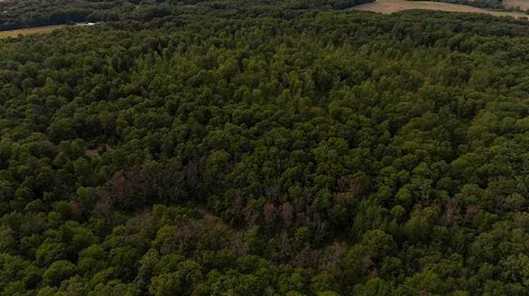 00 V/L 200th Ave Aetna Twp, MI 49336 lot for sale, MLS#72023007906 | Dwellings Michigan Real Estate Photo 1