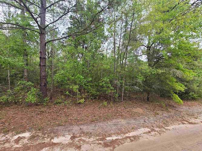 TBD N Forest Dr Monticello, FL 32344