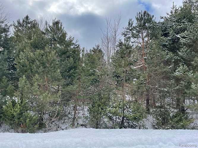 4064 Hemlock Ln Maple River Twp, MI 49706