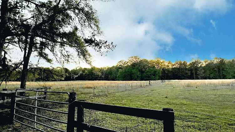xx Fanlew Rd Jefferson Count, FL 32344
