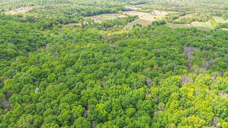 0 Walkup Road Readyville, TN 37149