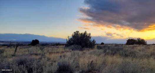 TBD 2300 North #2 Snowflake, AZ 85937