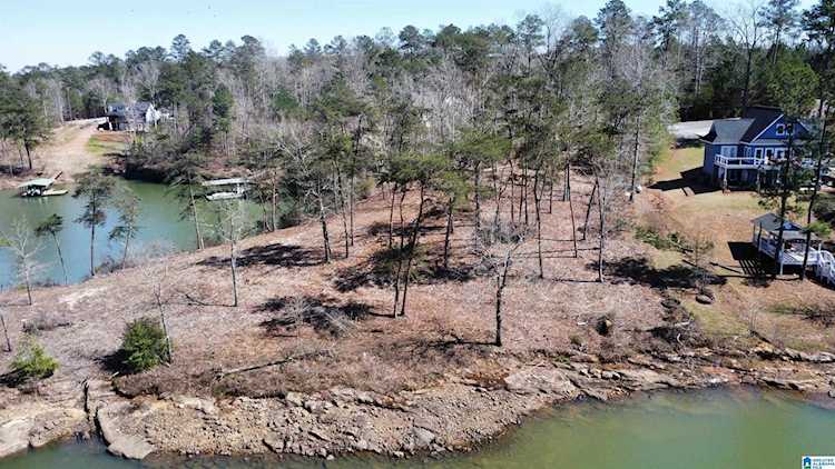 Lot 16 Bear Branch Cove Road #Lot 16 Arley, AL 35541
