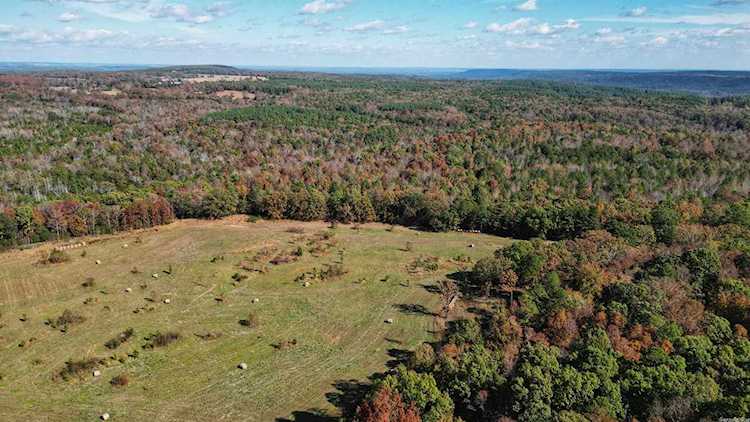 Address Withheld Sidon, AR 72137