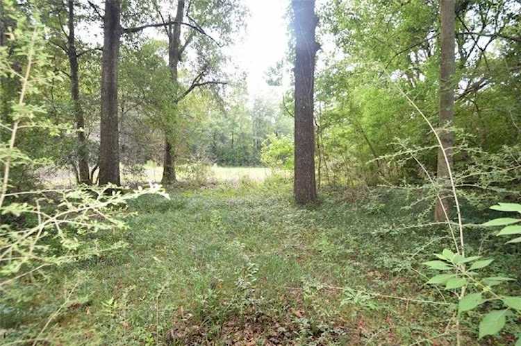 0 Oak Springs Road Saraland, AL 36571